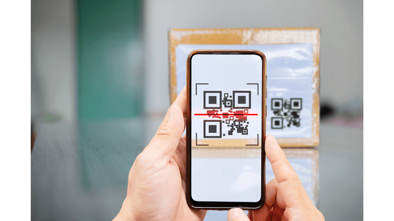 Scan DIS screenshot 1