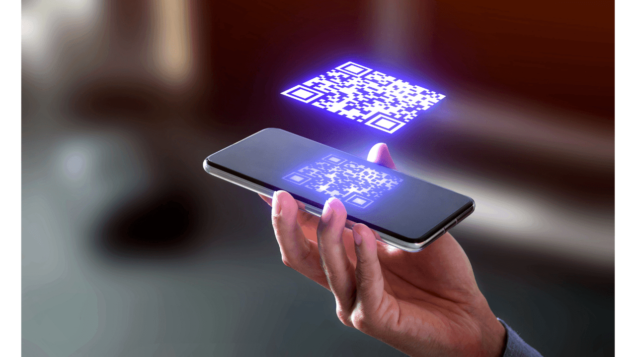 Scan DIS screenshot 2