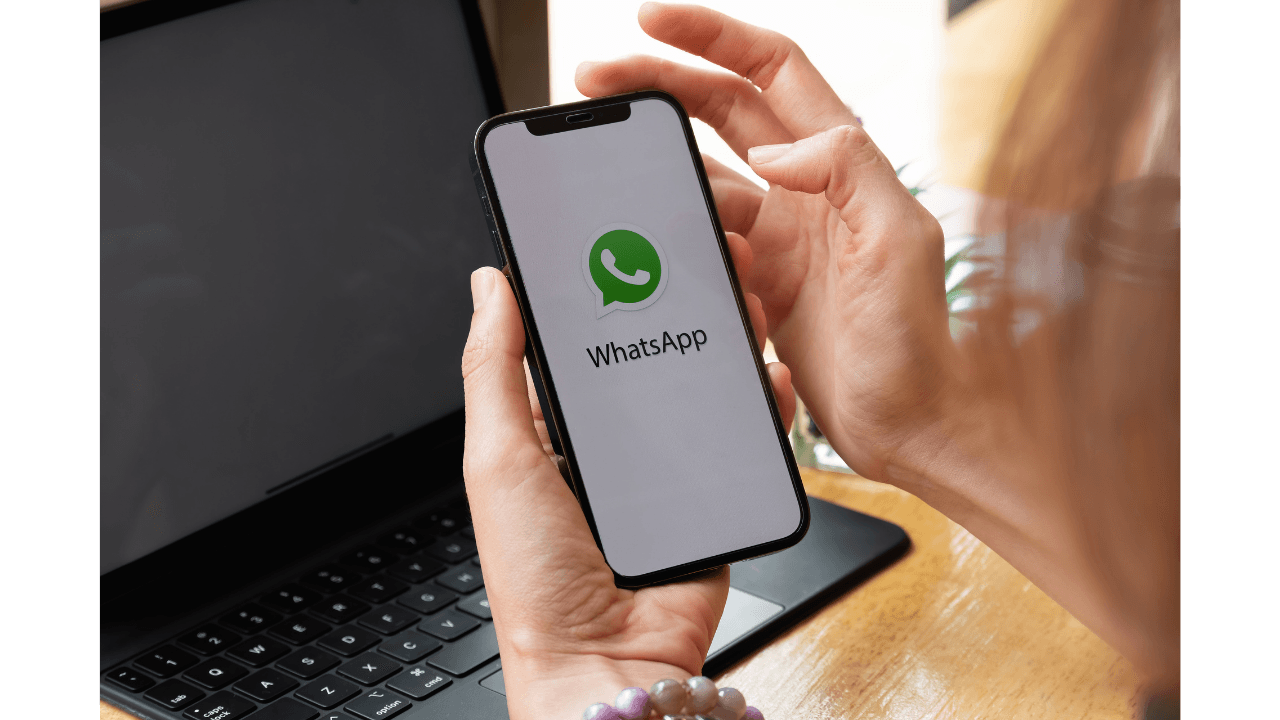 Chatwid DIS screenshot 2